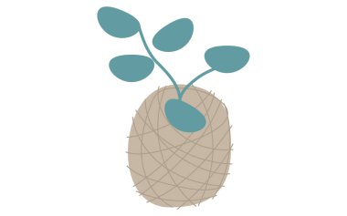 Ev bitkisi asma tesisi, izometrik çizim, Vektör İllüstrasyonu