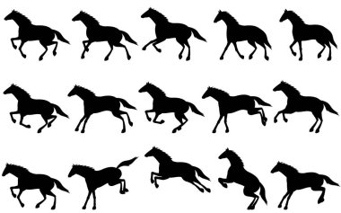 Yürüyerek koşan ve koşan bir atın siluet seti animasyon için kullanılabilir, Vektör İllüzyonu