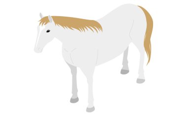 Ayakta duran beyaz saçlı bir atın basit izometrik çizimi (çapraz olarak ileri), Vektör İllüzyonu