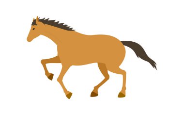 Koşan bir atın basit vektör çizimi, Vektör İllüstrasyonu