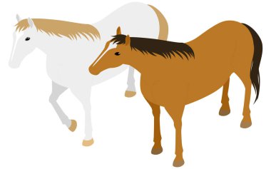 Beyaz bir at ayakta duruyor ve ön ayaklarını kaldırıyor, Vektör İllüzyonu