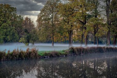 Sonbahar ormanında bir park Ağaçlar ve yapraklarla