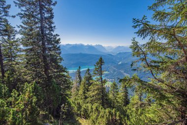 Der Herzogstand ist ein Berg in den Bayerischen Voralpen mit 1731 m . NHN Nordwestlich des Walchensee. Gehrt zum Gebiet der Gemeinde Kochel am See und bildet mit seinem Nachbarn Heimgarten einen Hoehenzug, 