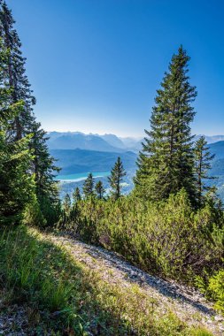 Der Herzogstand ist ein Berg in den Bayerischen Voralpen mit 1731 m . NHN Nordwestlich des Walchensee. Gehrt zum Gebiet der Gemeinde Kochel am See und bildet mit seinem Nachbarn Heimgarten einen Hoehenzug, der dem Estergebirge vorgelagert ist