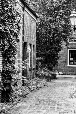 Kreisstadt des mittelhessischen Landkreises Marburg-Biedenkopf und liegt und liegt an der Lahn. Zur geleneği Abgrenzung von Marburg an der Drau wurde die Stadt bis 1974 ofiziell Marburg an der Lahn bzw. Marburg, Lahn Caddesi. 