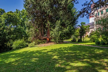 Ben Kurpark Kötü Homburg