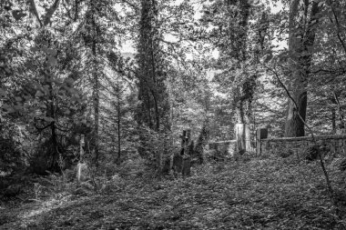 Einsamer, Ingst in Vergessenheit geratener Waldfriedhof irgendwo im Spessart. Einer der Wenigen Privatfriedhfe, Almanya 'da 