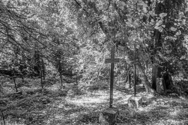 schwarze Kreuze tief im Wald. Einsamer Waldfriedhof irgendwo im Odenwald. Der Natur 'da kayıp yerler eldiven: 