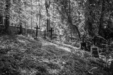 Einer der wenigen Privatfriedhfe in Deutschland wurde zwischen 1830 ve 1840 durch den ersten Hllhammerbesitzer (Eisenhammer) Gerorg Ludwig Rexroth angelegt. 