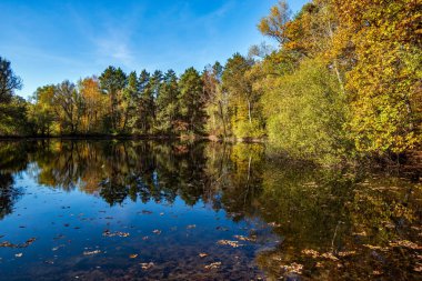 Kleiner Weiher im Hessischen Forst Naehe Hanau Herbstlichen Farben 'de