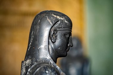 Die Vatikanischen Museen beherbergen vor allem die paepstlichen Kunstsammlungen und befinden sich auf dem Territorium der Vatikanstadt. Geber Sammlung ist eine der wichtigsten und gaerten der Welt. 