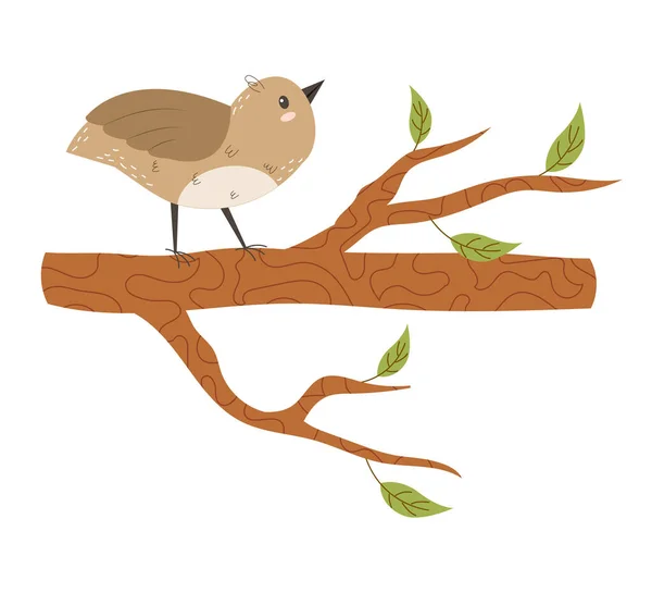 Cute Bird Sits Tree Branch Funny Curious Sparrow Charming Funny — Stock Vector
