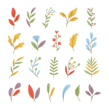 Çiçekli, Yapraklı ve Böğürtlenli çeşitli şubeler. El çizimi renkli moda illüstrasyon. Tüm elementler izole edildi. Vektör stok çizimi, tüm elementler izole. 