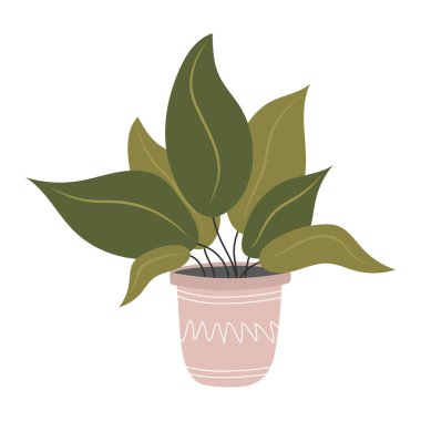 Saksıda şirin bir bitki. Kapalı kapılar ardında egzotik bitkiler. İzole edilmiş beyaz arka planda bir çiçek. Vektör hisse senedi çizimi. Tropik ev bitkisi. Esrar bitkisi. bahçe bitkisi.