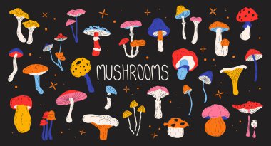 Retro set moda mantarlar. 90 'ların tarzında hippi çizgi film tasarımı elementleri. Orman mevsimsel mantar mantarı mantar mantarı, chanterelle, sinek mantarı, boletus. Renkli zehirli ve yenilebilir mantarlar.. 