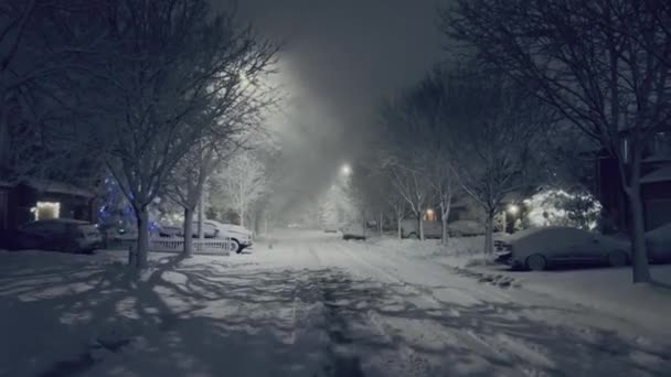 Road Houses Covered Snow Heavy Snowstorm Toronto Street — Vídeo de Stock