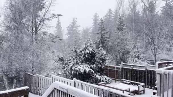 Снегопад Лесу Рядом Домом — стоковое видео