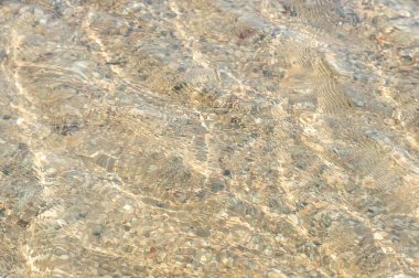 Deniz tabanının bulanık görüntüsü. Doğal arkaplan.