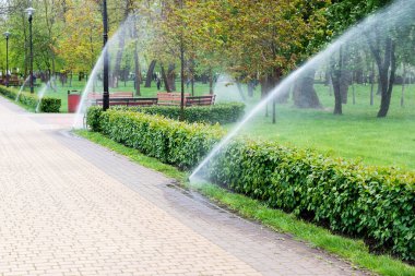 Baharda parkı sulamak. Sulama sistemi.