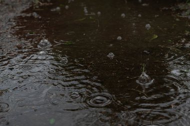 Yağmur sırasında bir su birikintisinin bulanık görüntüsü.