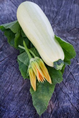 Bir kabak, çiçekler ve yapraklar koyu ahşap arka planda resmedilir..