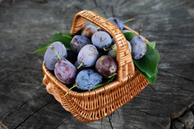 Koyu ahşap arka planda erikli sepet..