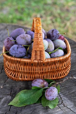 Bir yaz günü ahşap bir arka planda sepetteki eriklerin bulanık görüntüsü..