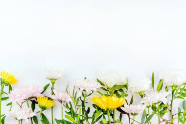 Beyaz arka planda yazı yazmak için bir yer, sarı, pembe ve beyaz çiçekler. Çiçek arkaplan..