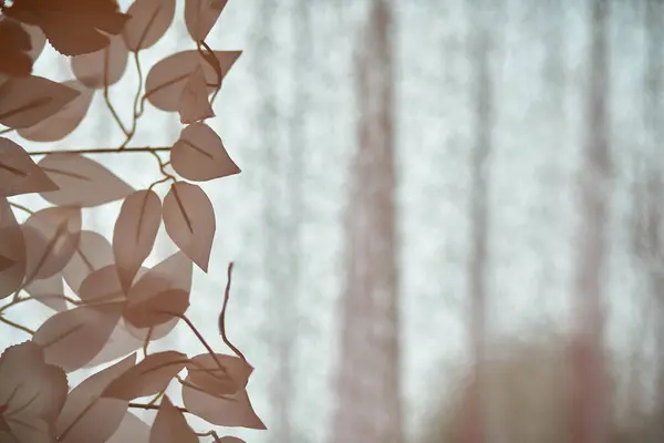 stock image Decorative decoration with leaves in the foreground and a curtain in the background in defocus