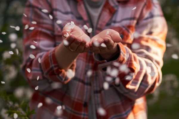 A girl in a checkered shirt blows cherry blossom leaves right into the frame