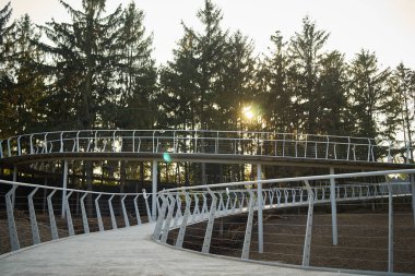 Landscape of the iron bridge against the background of pine trees and sunset in the park