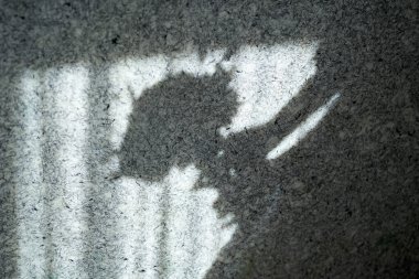 Gelinin gri duvarında iki eliyle düğün buketi tutan bir gölge.