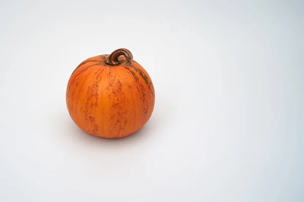 Gran Calabaza Naranja Halloween Sobre Fondo Blanco — Foto de Stock