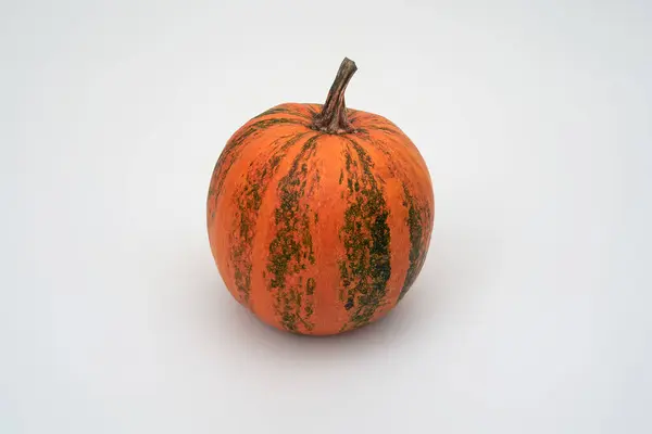 Gran Calabaza Naranja Halloween Sobre Fondo Blanco — Foto de Stock