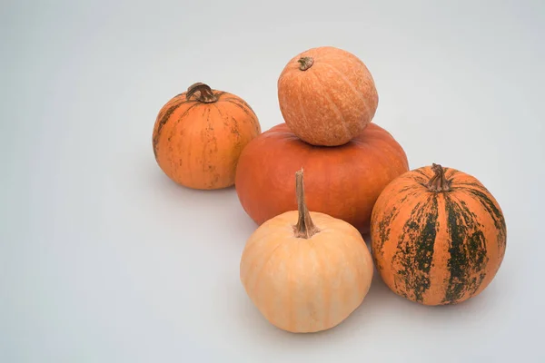 Cinco Grandes Calabazas Halloween Color Naranja Una Vista Superior Fondo — Foto de Stock