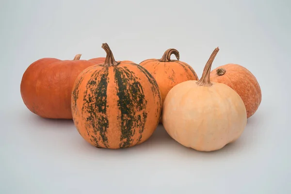 Cinco Grandes Calabazas Halloween Color Naranja Sobre Fondo Blanco — Foto de Stock
