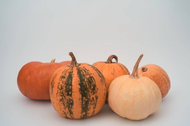 Beyaz arka planda beş büyük turuncu Cadılar Bayramı kabağı