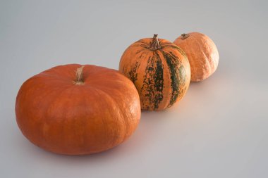 Beyaz arka planda üç büyük turuncu Cadılar Bayramı kabağı