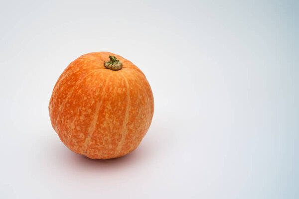 Big orange Halloween pumpkin on a white background