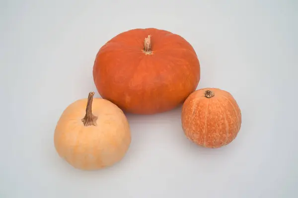 Tres Grandes Calabazas Halloween Color Naranja Sobre Fondo Blanco — Foto de Stock
