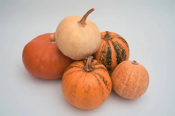 Cinco Grandes Calabazas Halloween Color Naranja Sobre Fondo Blanco — Foto de Stock