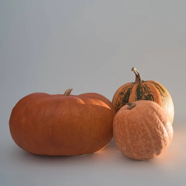 Tres Grandes Calabazas Halloween Color Naranja Sobre Fondo Blanco — Foto de Stock