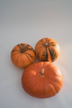 Beyaz arka planda üç büyük turuncu Cadılar Bayramı kabağı