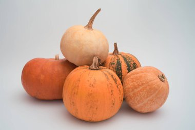 Beyaz arka planda beş büyük turuncu Cadılar Bayramı kabağı