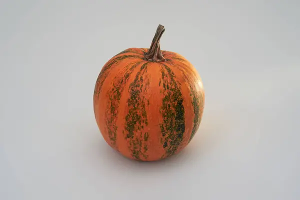 Beyaz arka planda büyük portakallı Cadılar Bayramı kabağı