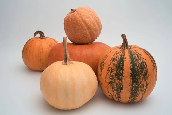 Beyaz arka planda beş büyük turuncu Cadılar Bayramı kabağı