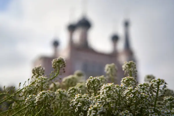Kilisenin arka planında papatya çiçekleri ve bulanık mavi gökyüzü.