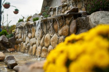 Üzerinde su damlaları akan taştan bir fıskiyenin ve odak noktası dışında sarı çiçeklerden oluşan bir çalılığın yakınında.