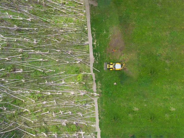 Bulldozer Ruimt Een Bos Ontbossing Klimaatverandering Vanuit Lucht — Stockfoto