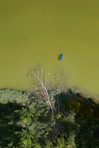 Mujer Mediana Edad Nadando Divirtiéndose Río Junto Árbol Caído Árbol — Foto de Stock
